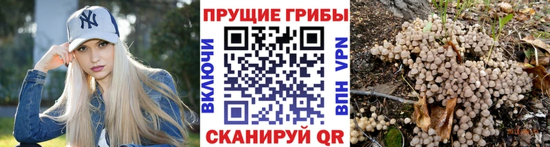 Галлюциногенные грибы MAGIC MUSHROOMS  Купить  Сурск 
